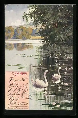 Lithographie Sommer, Idyll mit Schwänen und Seerosen