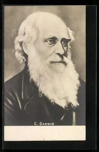 Künstler-AK Portrait of C. Darwin