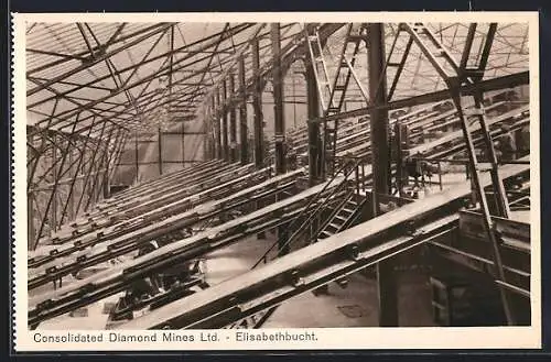AK Elisabethbucht, Consolidated Diamond Mines Ltd., Edelstein