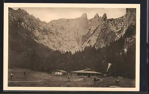 AK Berchtesgaden, Scharitzkehlalpe mit Kühen gegen den Hohen Göll