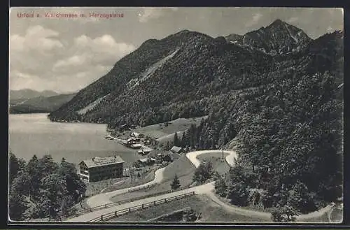 AK Urfeld a. Walchensee, Panorama mit Herzogstand