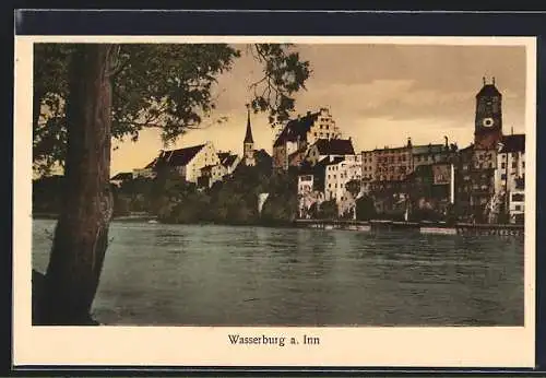 AK Wasserburg am Inn, Uferpartie mit Baum