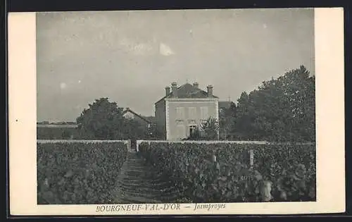 AK Bourgneuf-Val-d`Or, Vue de la maison Jeamproyes entourée de vignobles