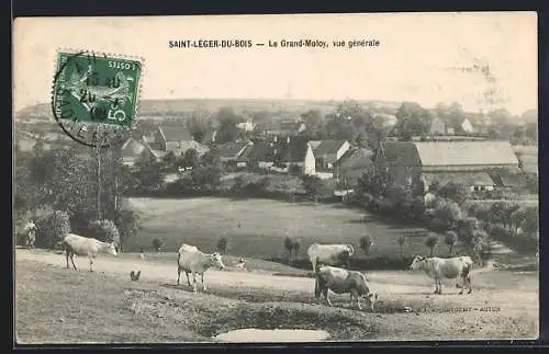 AK Saint-Léger-du-Bois, Le Grand-Moloy, vue générale avec des vaches dans un pré