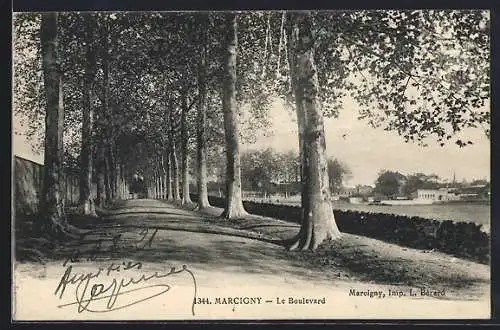 AK Marcigny, Le Boulevard bordé d`arbres