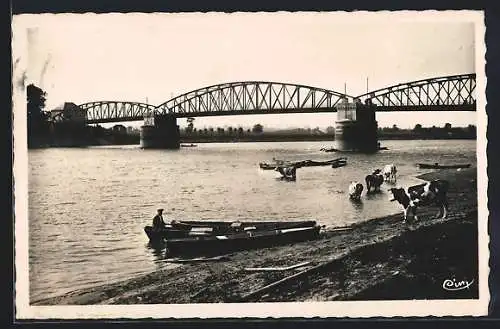 AK Pont-de-Vaux-Fleurville, Le Pont sur la Saône avec des barques et des vaches au bord de l`eau