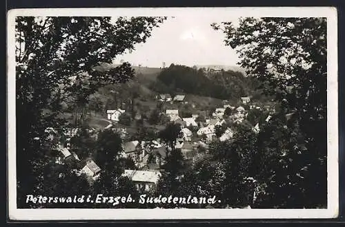 AK Peterswald i. Erzgeb., Ortsansicht aus der Vogelschau