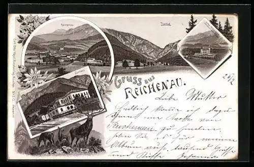 Lithographie Reichenau, Ortsansicht, Thalhof, Curhaus