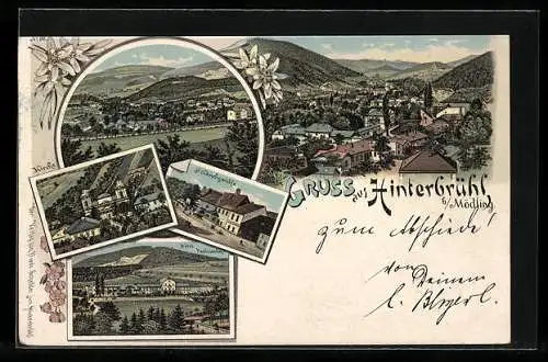 Lithographie Hinterbrühl, Blick über die Dächer, Höldrichsmühle, Hotel Paulinenhof