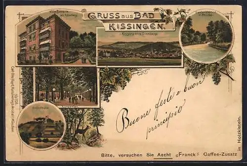 Lithographie Bad Kissingen, Villa Bavaria am Altenberg, Bodenlaube und Ansicht vom Sinnberg aus