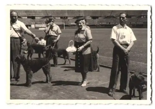 2 Fotografien Ansicht Wien, Internationale Hundeausstellung im Stadion von Rapid Wien