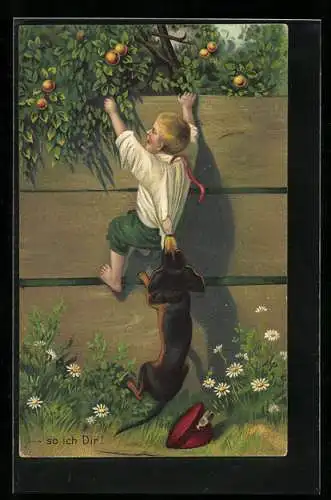 AK Knabe hängt an einem Zaun und wird von einem Dackel ins Hemd gebissen