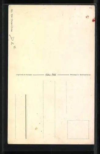 Künstler-AK Entspannter schwarzer Chow-Chow