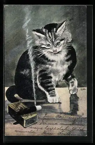 Künstler-Lithographie Kätzchen, dampfende Zigarre und Streichholzschachtel