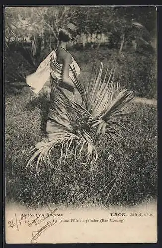 AK Laos, La Jeune Fille au palmier (Ban-Mounang)