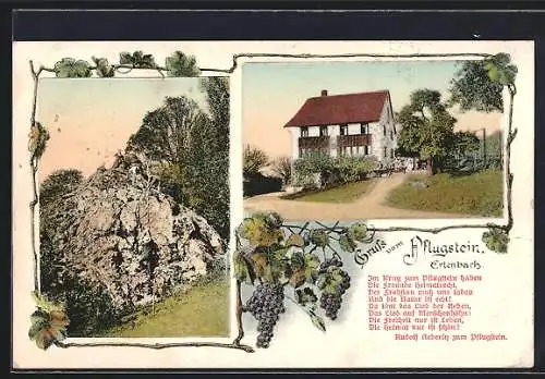 AK Erlenbach, Das Gasthaus zum Pflugstein, der Pflugstein
