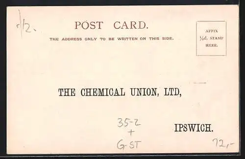 Lithographie Ipswich, Advertisement for Disinfectants by The Chemical Union Ltd.