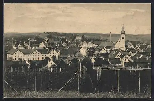 AK Wolnzach, Ortsansicht mit Kirche