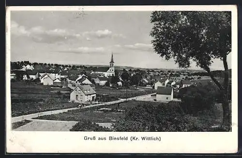 AK Binsfeld /Kr. Wittlich, Ortsansicht aus der Vogelschau