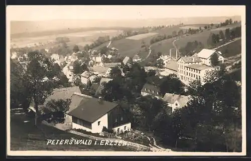 AK Peterswald i. Erzgebirge, Ortsansicht aus der Vogelschau