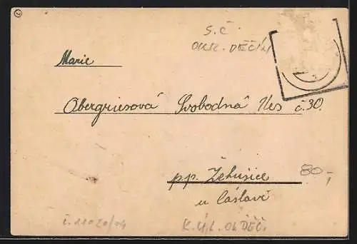 AK Decina-Podmokel, Ortsansicht aus der Vogelschau