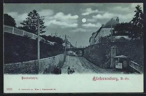 Mondschein-AK Klosterneuburg /O.-Oe., Hundskehle