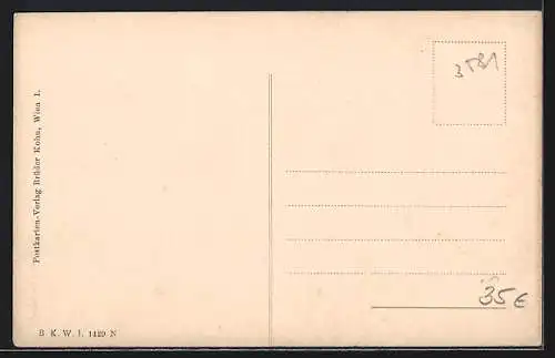 AK Piesting, Totalansicht