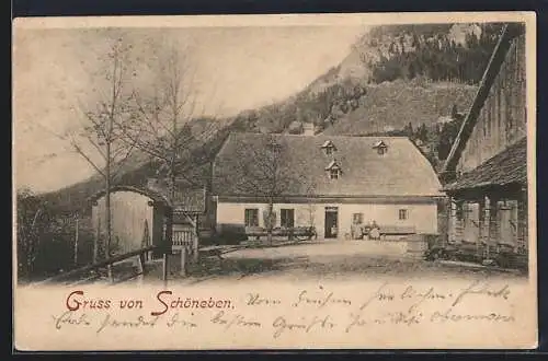 AK Schöneben, Hofhaus mit Berghang