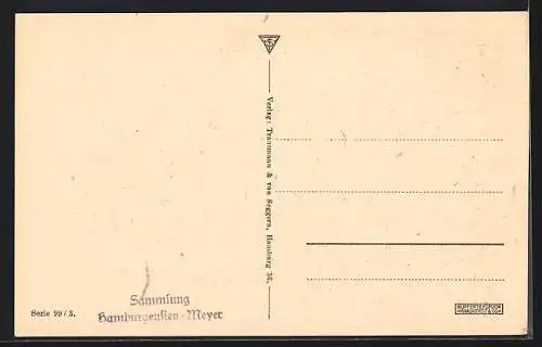 Künstler-AK Hamburg-Neustadt, Binnenalster mit Stadtansicht