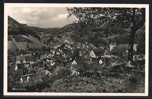 AK Wiesensteig /Württ., Ortsansicht aus der Vogelschau