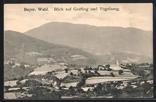 AK Grafling /Bayer. Wald, Ortsansicht mit Vogelsang