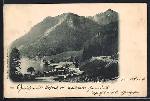 AK Urfeld / Bayern, Teilansicht mit Walchensee