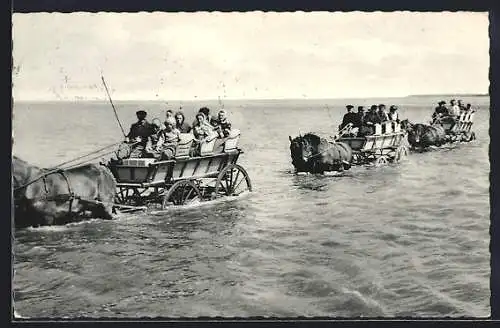 AK Sahlenburg, Die Wattwagen auf der Fahrt nach der Insel Neuwerk