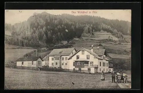 AK Pitz, Blick aufs Gasthaus Waldhof