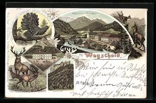 Lithographie Wegscheid b. Maria-Zell, Wegscheid m. d. Graualpe, Spielmäuer und Hotel Rohrbacher