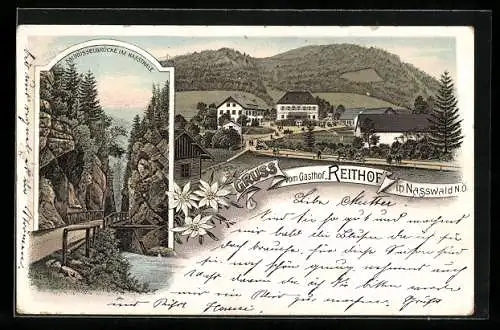 Lithographie Nasswald /N. Ö., Gasthof Reithof, Saurüsselbrücke im Nassthale
