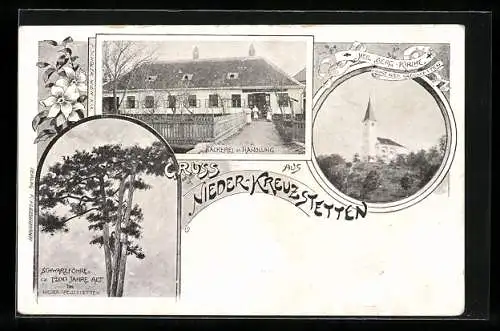 AK Nieder-Kreuzstetten, Bäckerei und Handlung, Alte Schwarzföhre und Heil. Berg-Kirche