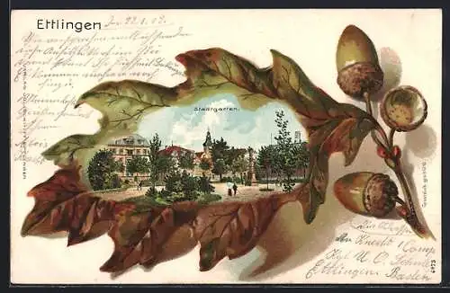 Passepartout-Lithographie Ettlingen, Stadtgarten, Ansicht auf Eichenblatt