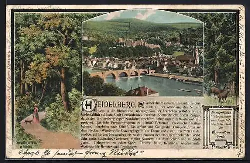 AK Heidelberg / Neckar, Panorama und Infotext