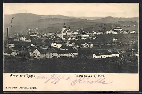 AK Regen, Panorama der Stadt vom Riedberg aus