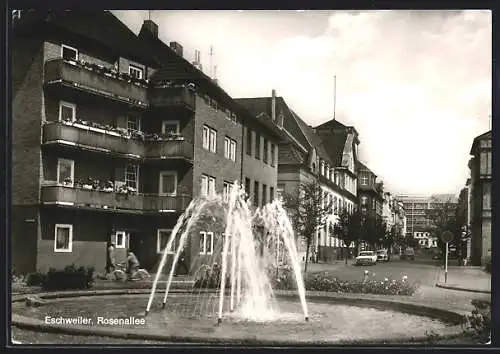 AK Eschweiler, Rosenallee mit Brunnen