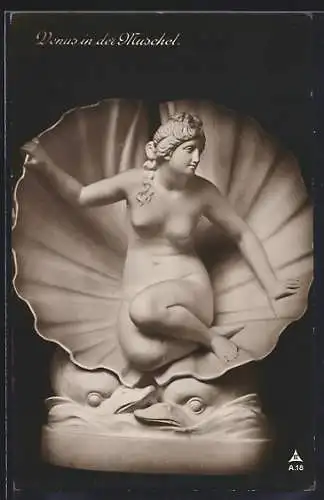 AK Skulptur Venus in der Muschel, Finelli