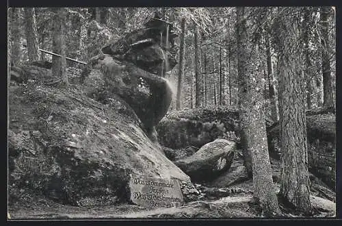 AK Luisenburg im Fichtelgebirge, Staub-Wasserfall