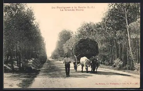 AK Pouliguen, La Grande Route vers La Baule avec chariot tiré par des bœufs