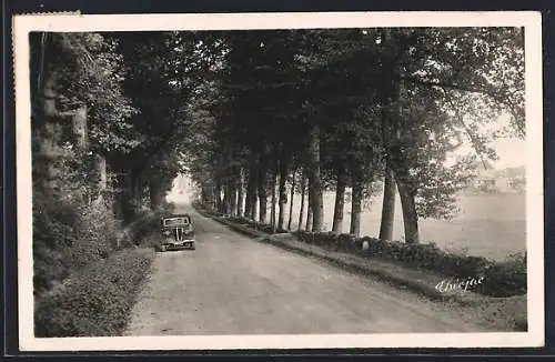 AK La Jonchère, Route de Limoges avec automobile et rangée d`arbres