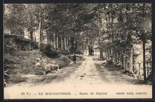 AK Le Mas-Gauthier, Route de Feytiat bordée d`arbres