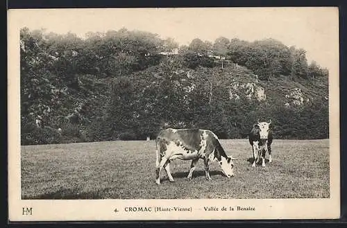 AK Cromac, Vallée de la Benaize avec des vaches paissant dans un champ