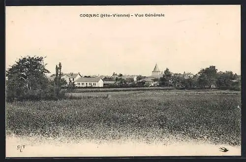 AK Cognac, Vue Générale