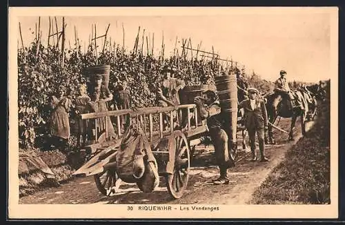 AK Riquewihr, Les Vendanges, Weinlese