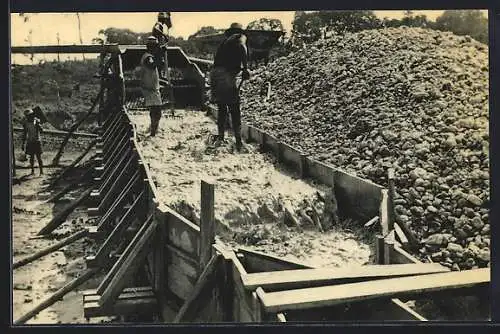 AK Symétain, Mines du Sud 1952, Arrivée du minerai stannifère refoulé..., Zinnmine, Bergbau